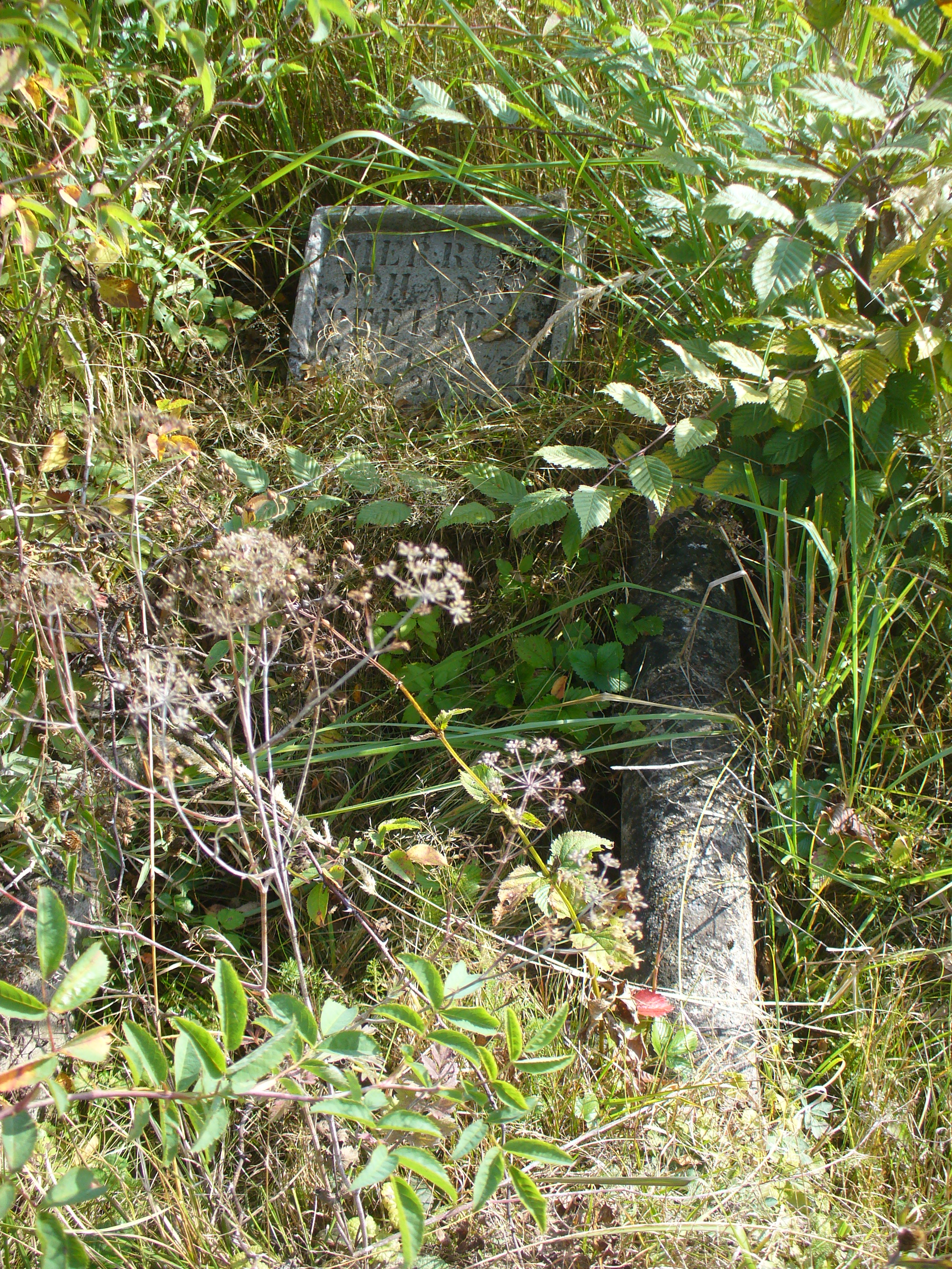 UA 2009-135 Josefsberg Friedhof.JPG